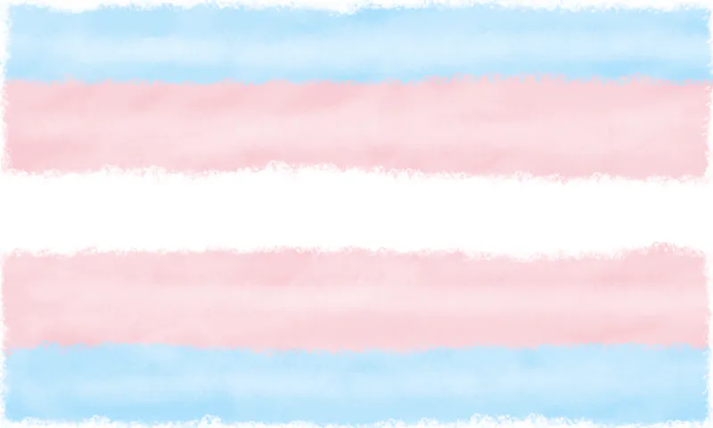This image was created by taking the Transgender Pride flag.svg file from Wikimedia Commons and blurring the edges in GIMP using the Grunge 01 brush under both 