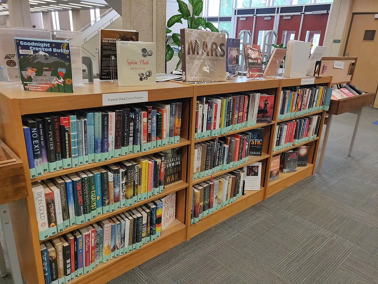 Library books with blue-green labels on a small, short (3 foot) shelf stretching about 10 feet. Books displayed on top of shelf.